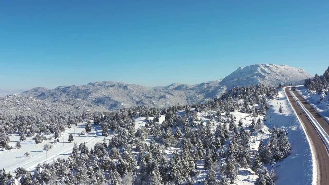 冰雪覆盖的森林和高速公路视频素材