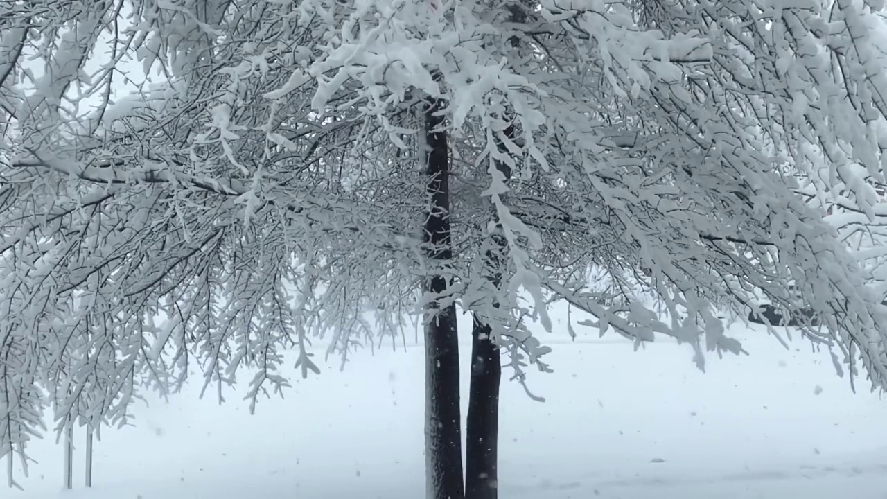 4k 30秒降雪slomo视频素材