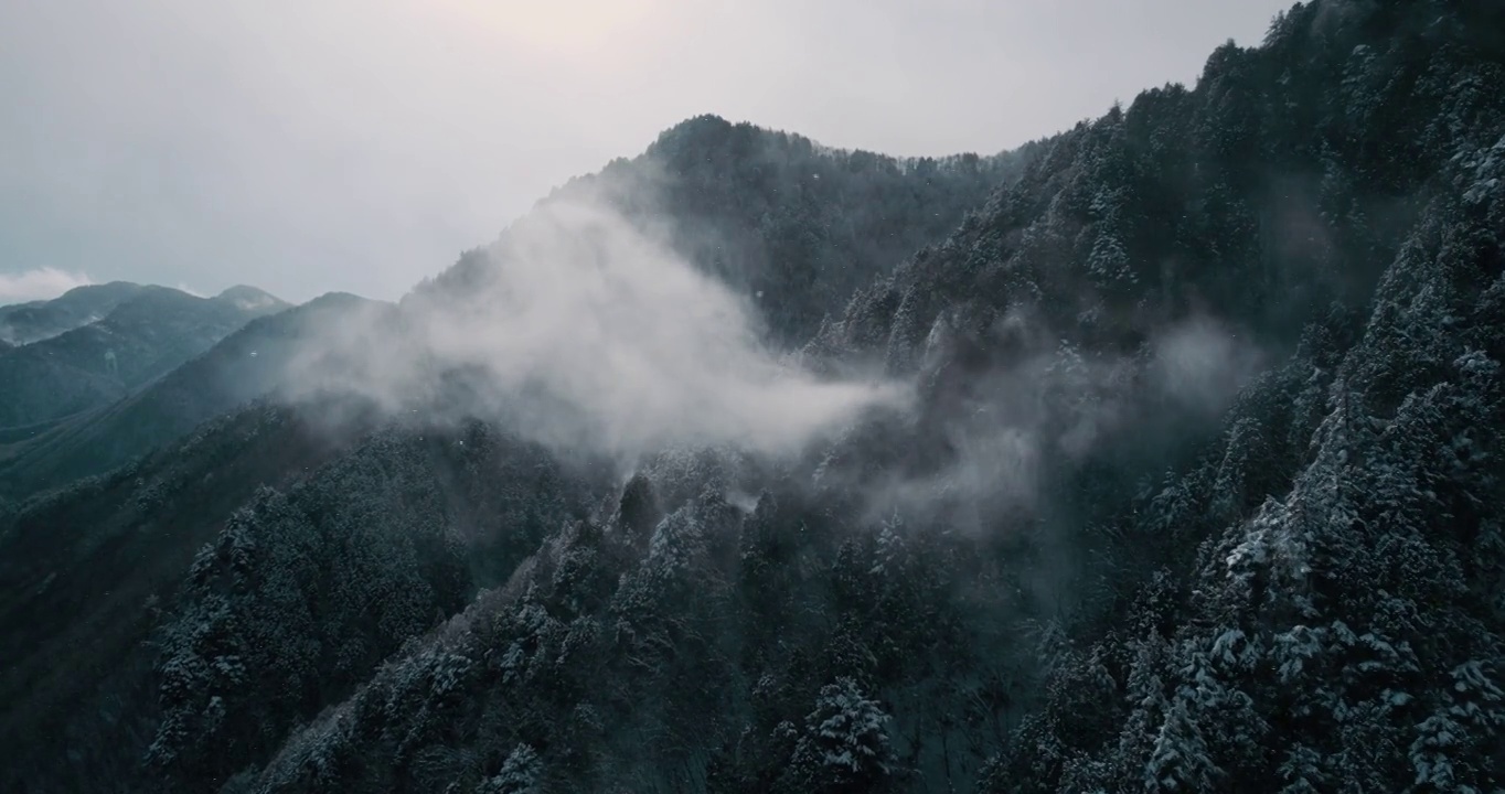 冬季沼泽视频素材