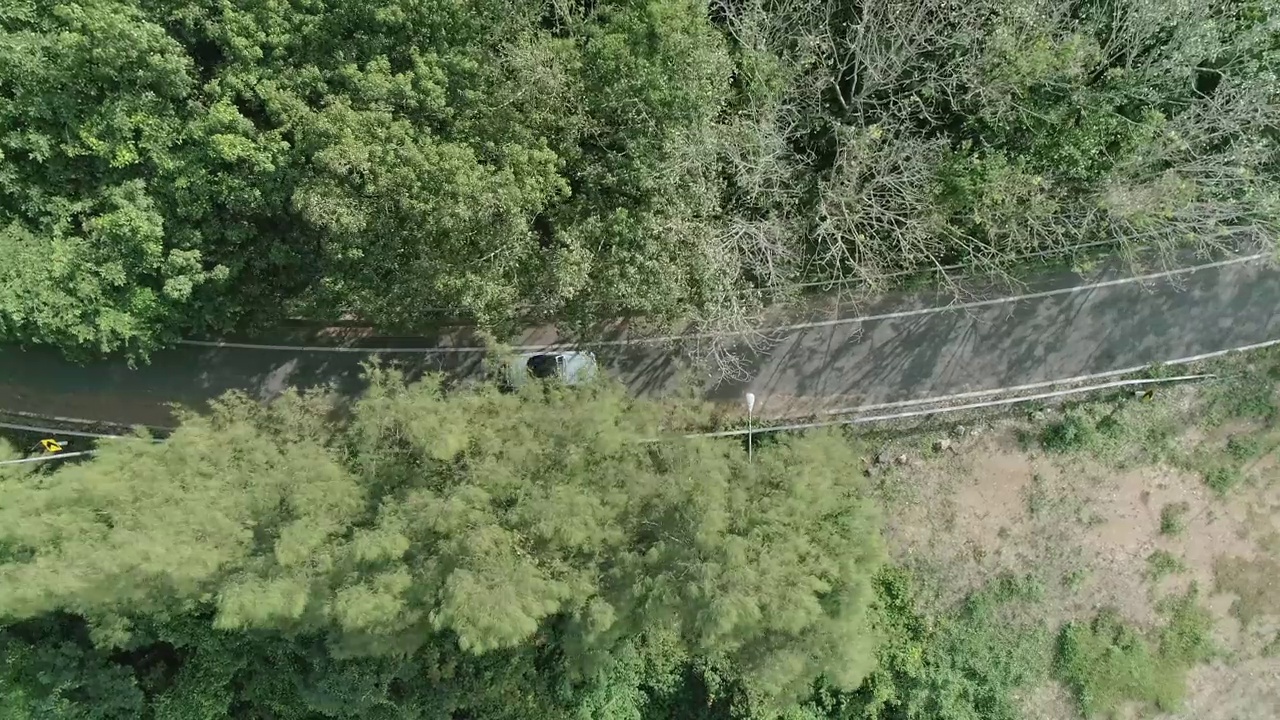 鸟瞰绿色的森林穿过空的道路与汽车视频素材