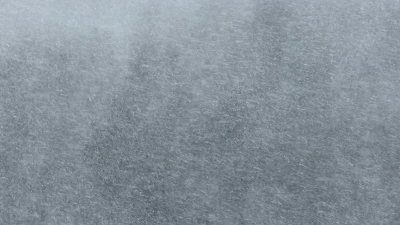 冬季森林背景下的大雪，暴风雪，暴风雪视频素材