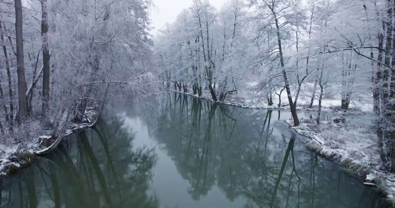 鸟瞰图，风景优美的普雷瓦尔德冬季景观视频素材