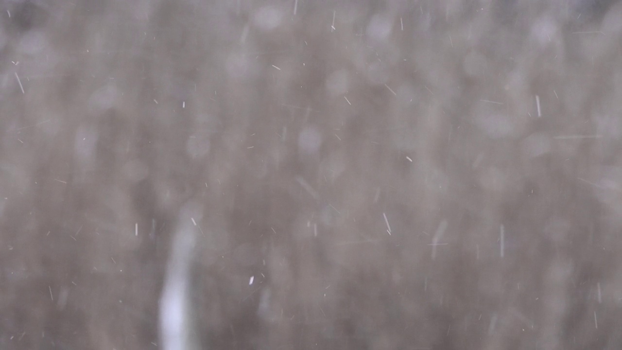 白色的雪落在植物模糊的浅色背景上。视频素材