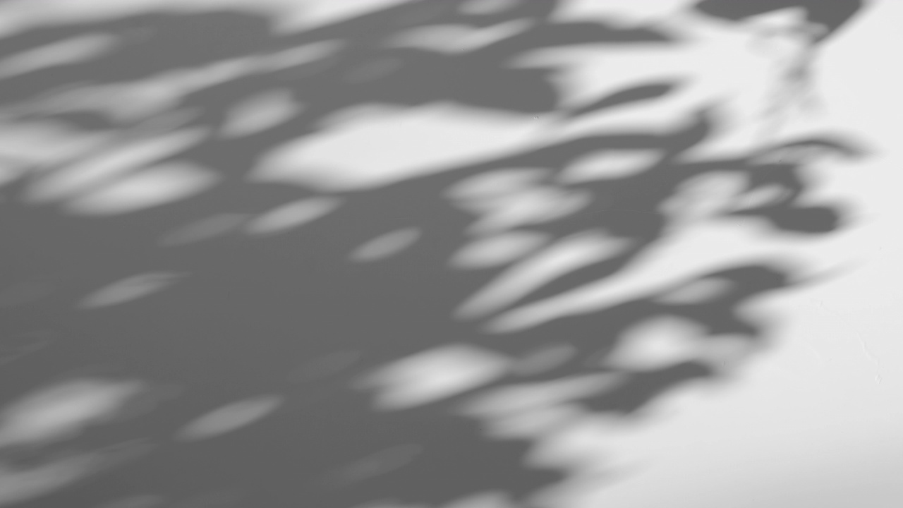 风中的阴影树叶覆盖在白色的墙壁背景上视频素材