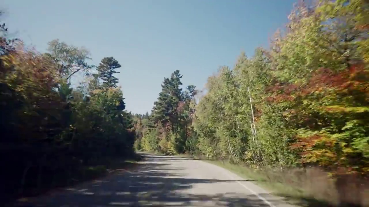 弯曲的道路在密歇根秋天森林视频素材