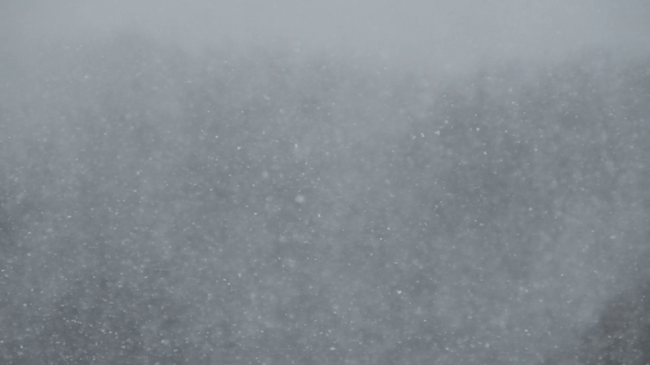 冬季森林的背景上的大雪，暴风雪，暴风雪视频素材