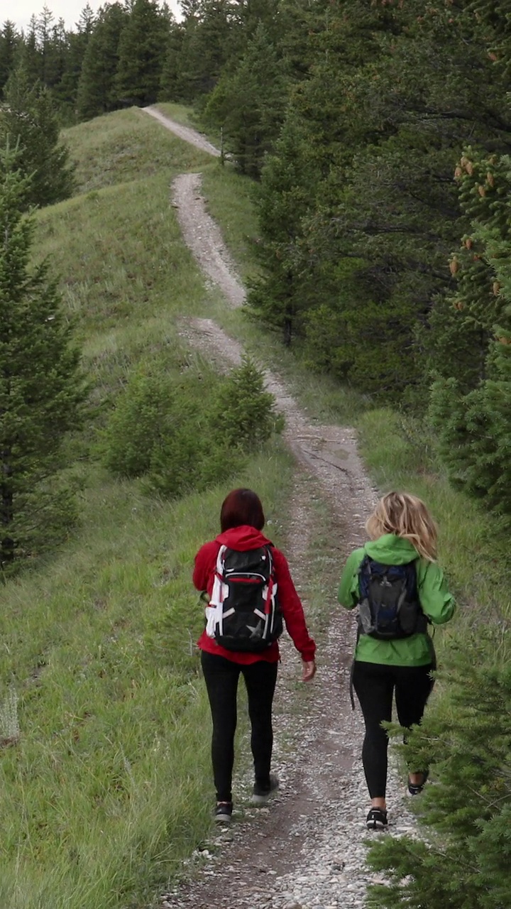 年轻的妇女们沿着山间小道，在草地上徒步视频素材