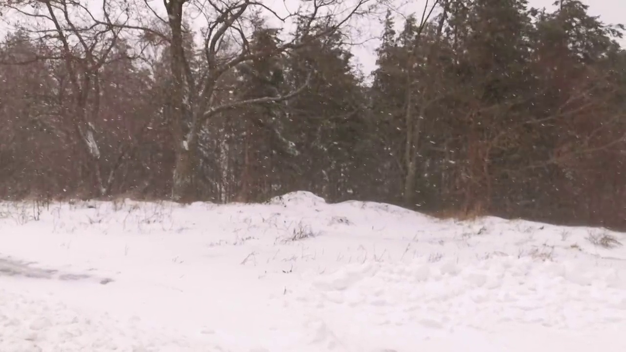 汽车观点。在COVID-19大流行期间，在冬雪中行驶在空荡荡的高速公路上。视频素材