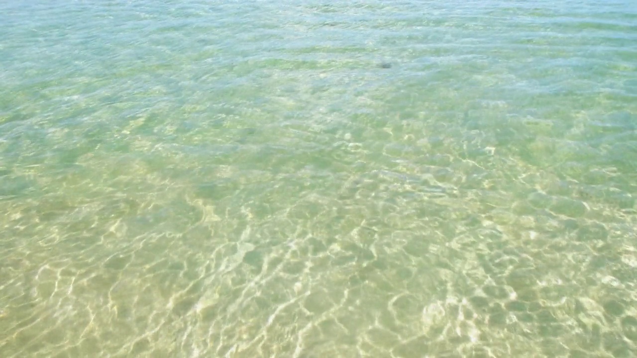 柔和的海浪从海上来到潮湿的沙滩上。夏季概念近浪海水来到海滩视频素材