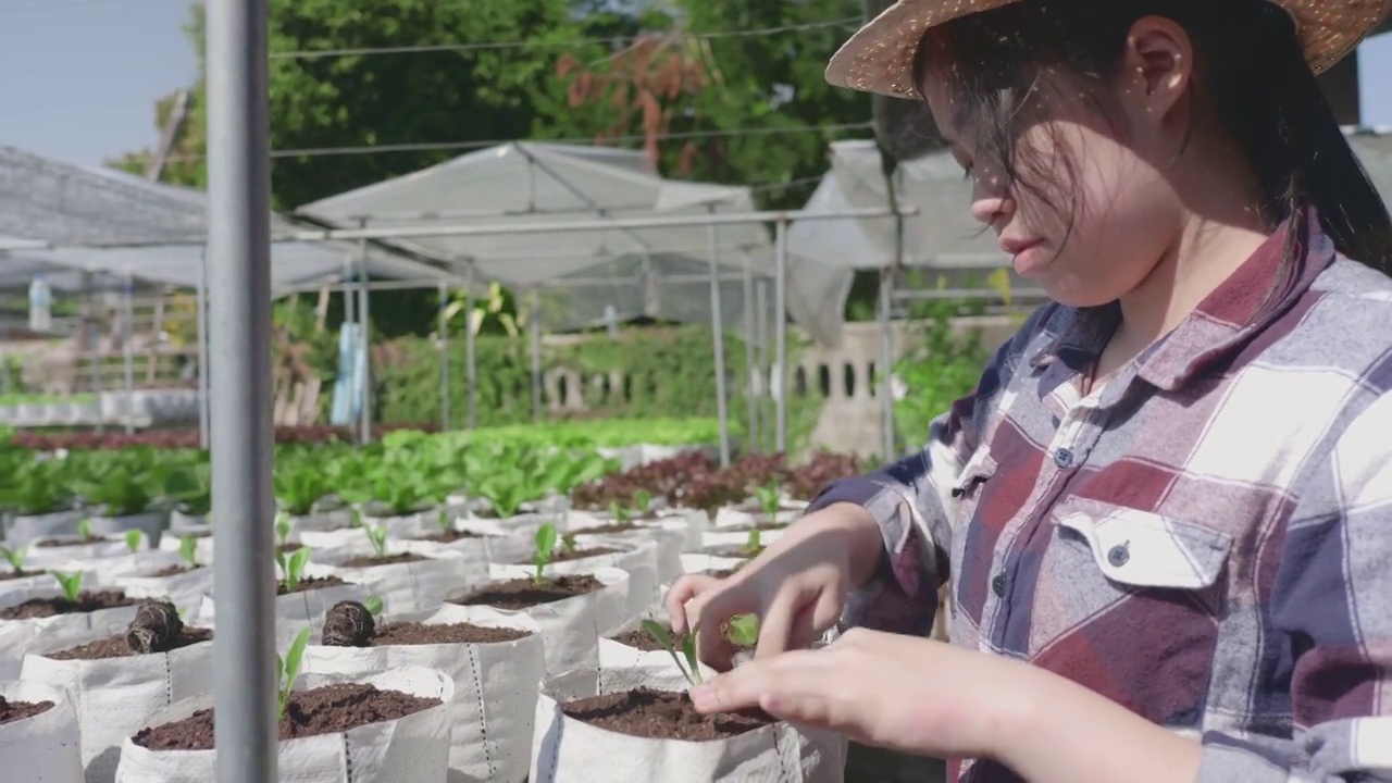 亚洲人在菜园里种菜视频素材