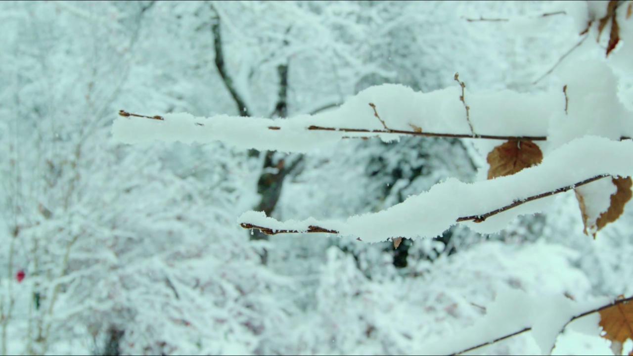 雪山股票视频视频素材