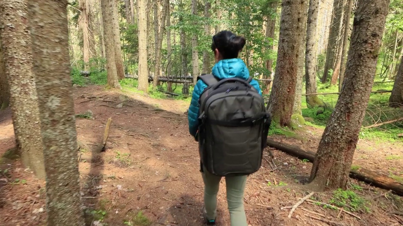 徒步旅行的女人背着徒步旅行的背包走在春天的绿色森林里视频素材