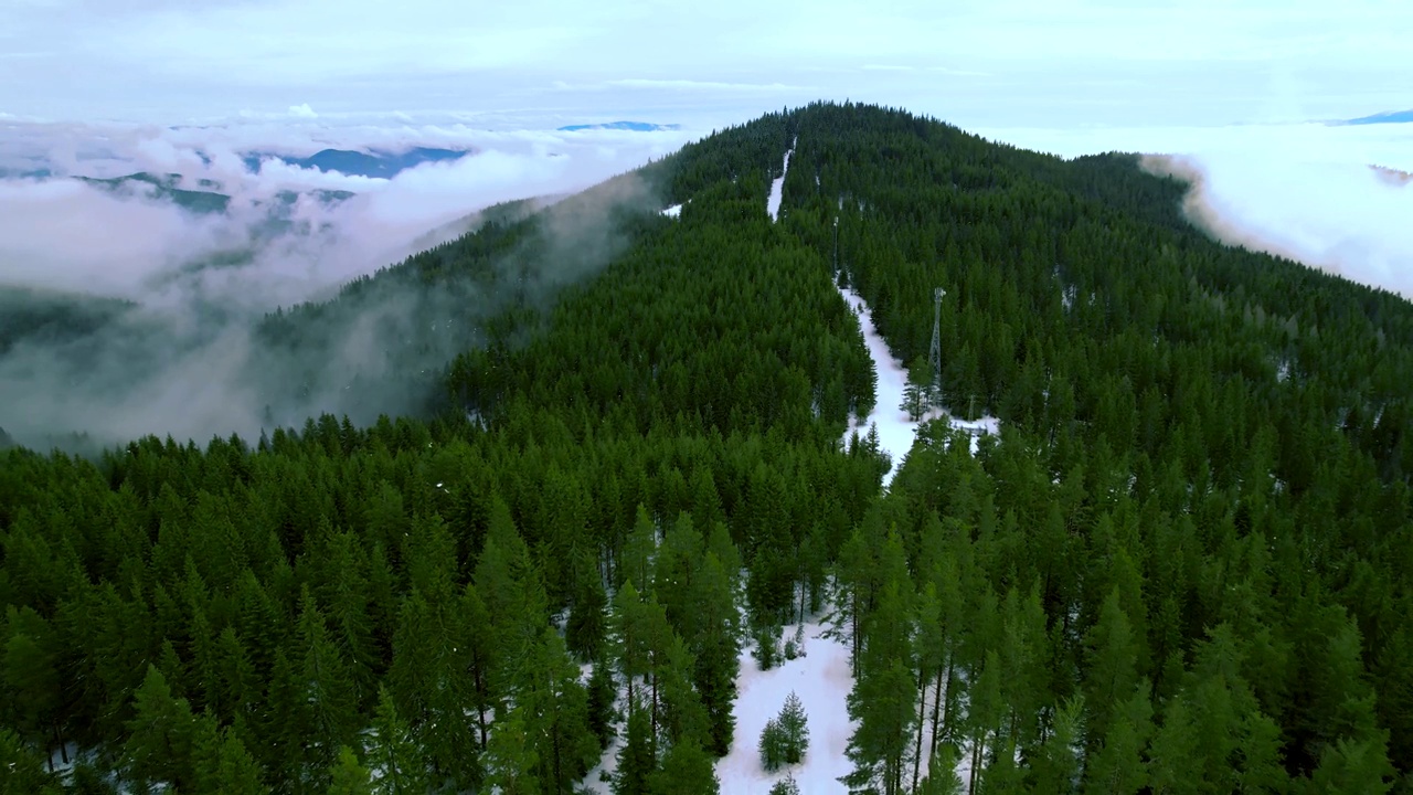 森林和积雪覆盖的山脉的4K航拍视频。视频素材