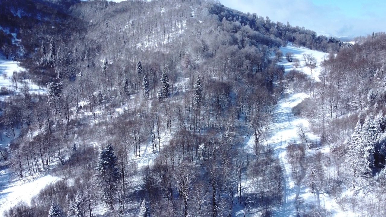 积雪森林鸟瞰图从无人机视频素材