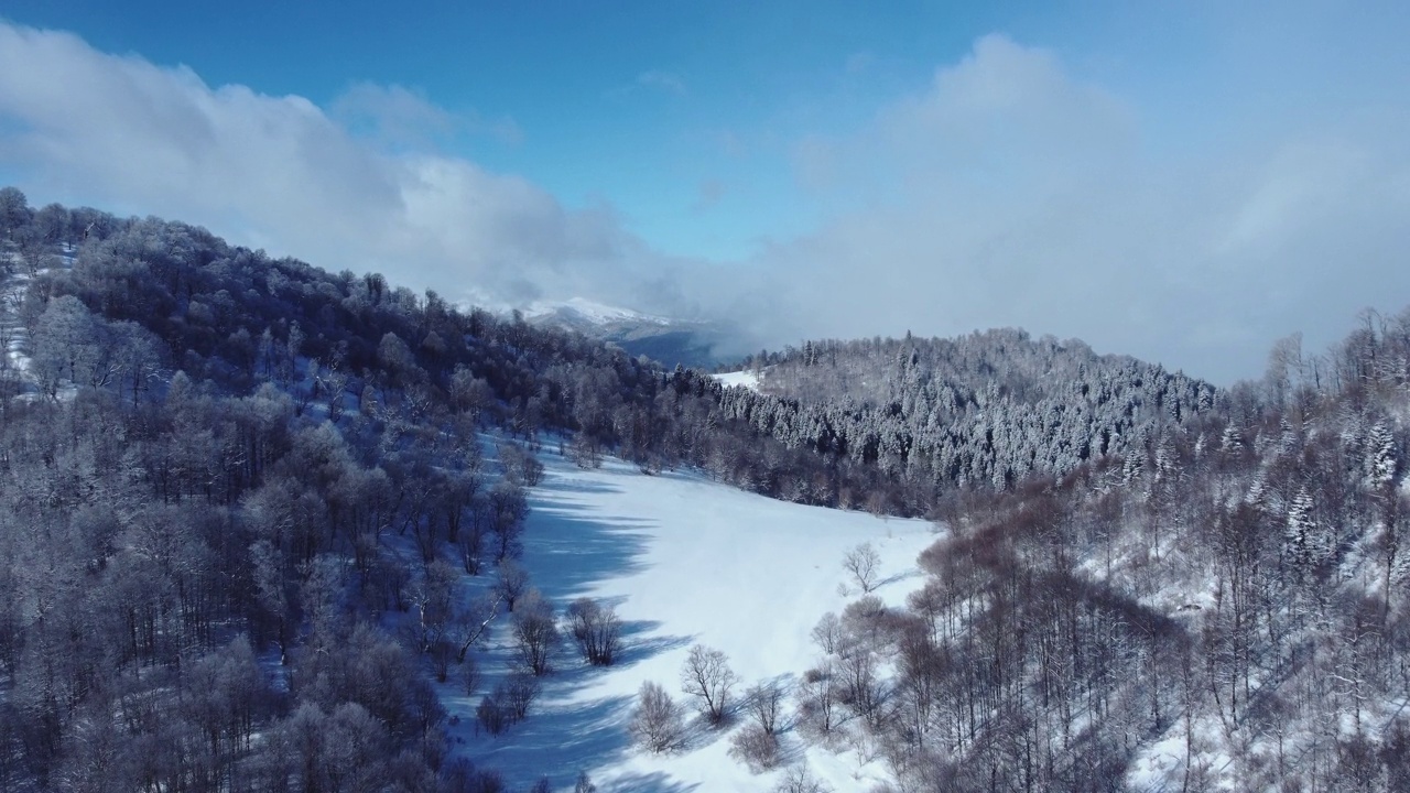 积雪森林鸟瞰图从无人机视频素材