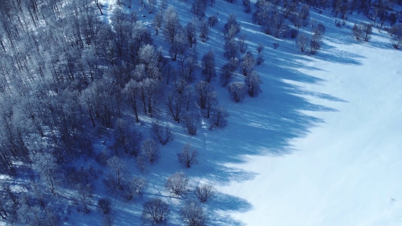 积雪森林鸟瞰图从无人机视频素材