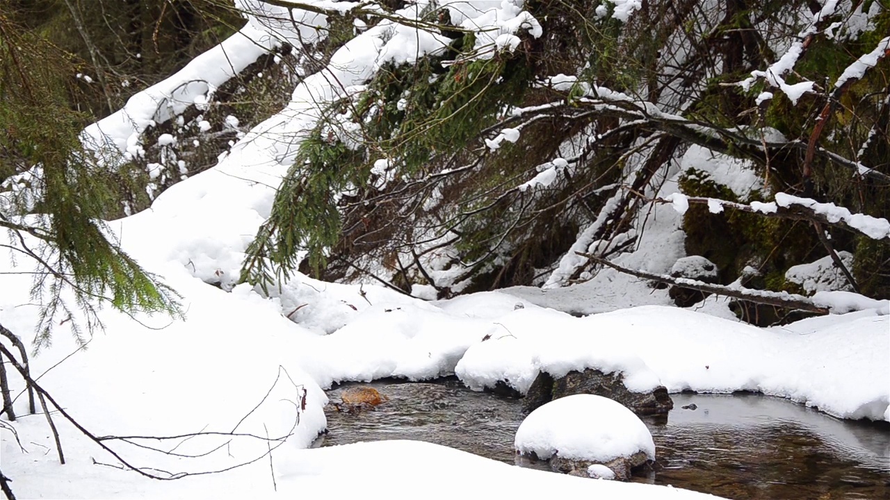 在雪堆中流淌的山间溪流视频素材