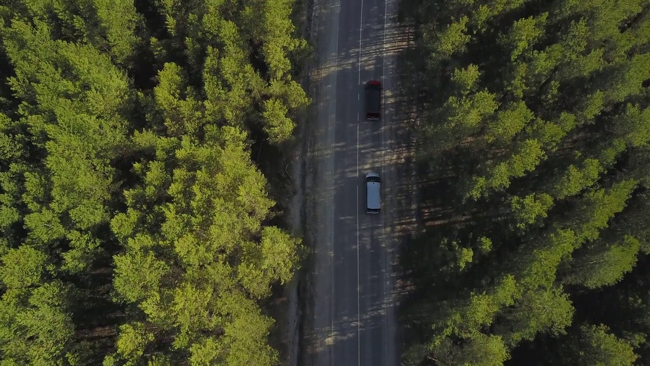 两辆红色和银色的小型货车正沿着森林道路行驶。从以上观点。无人驾驶飞机射击。视频素材