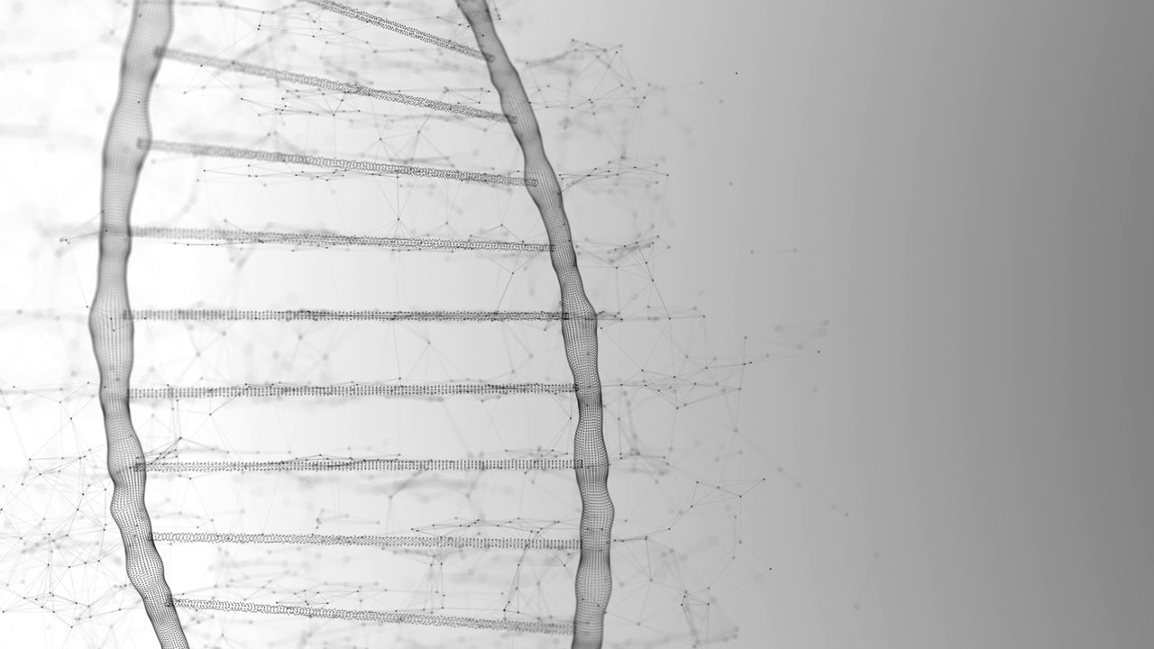 黑色的dna链在科学概念的白色背景上缓慢旋转视频素材