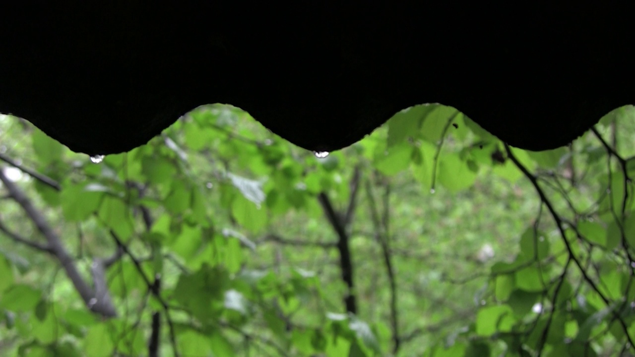 花园春雨倾盆。雨水淋湿了绿叶植物。雨点涓涓细流，屋檐下却成波涛视频素材