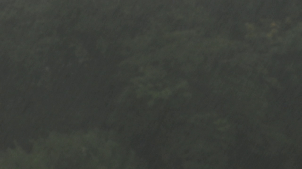 亚马逊暴雨——大雨视频素材