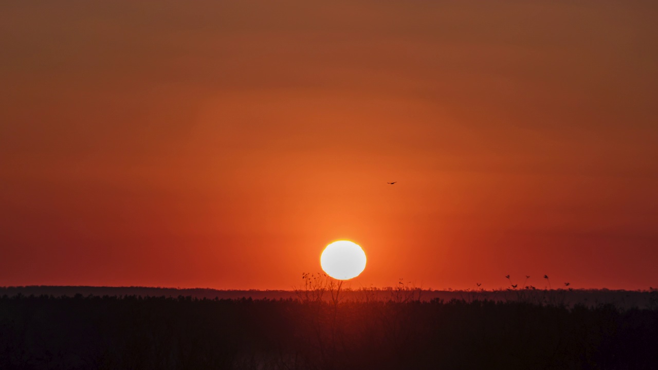 夕阳西下，大太阳从地平线上落下视频素材