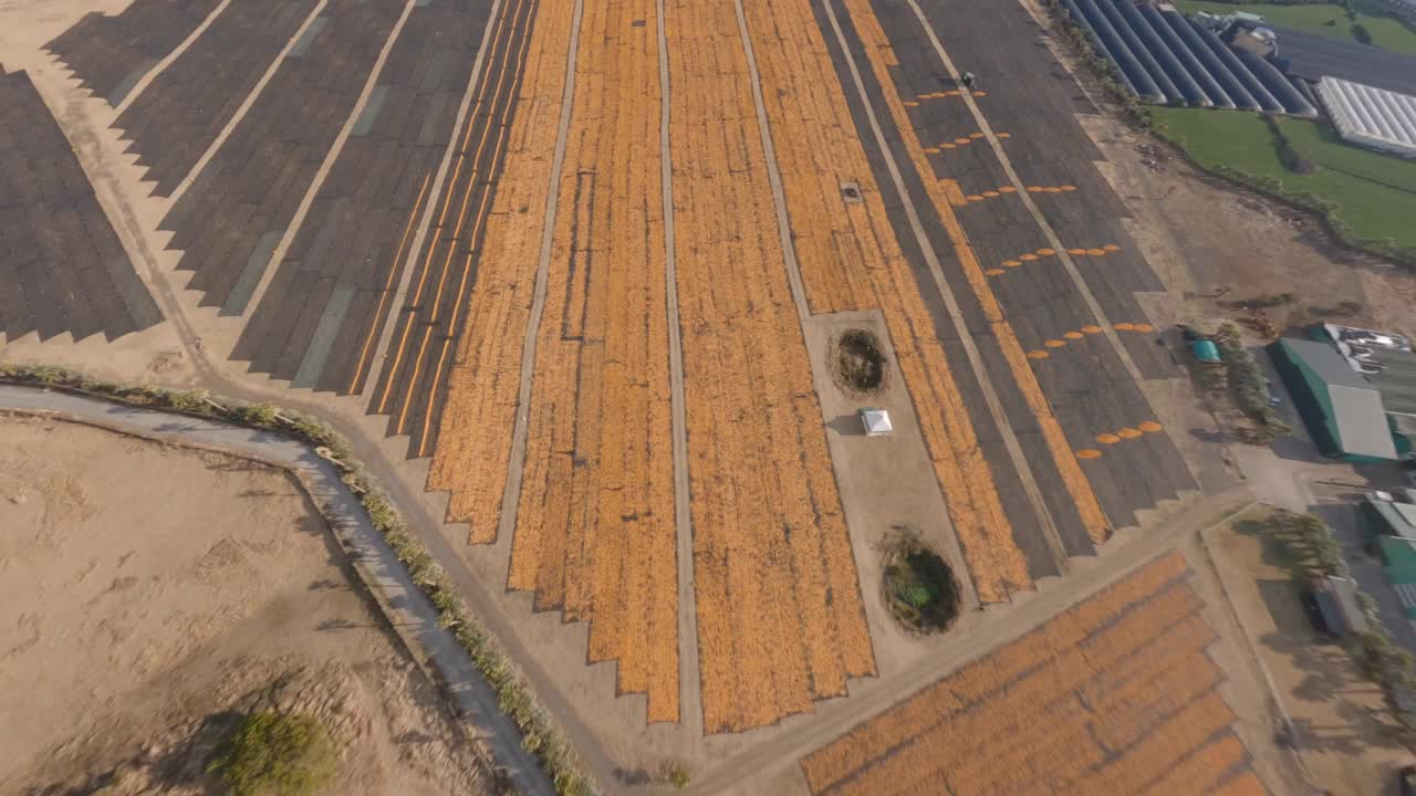 ▽自然风光=韩国济州岛西归浦市城山郡新川牧场和大海视频素材