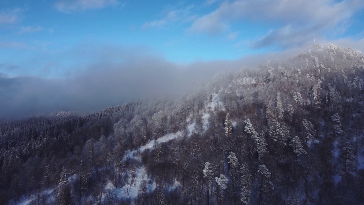 积雪森林鸟瞰图从无人机视频素材