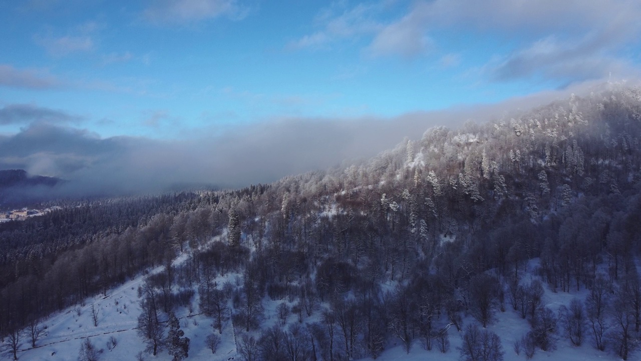 积雪森林鸟瞰图从无人机视频素材