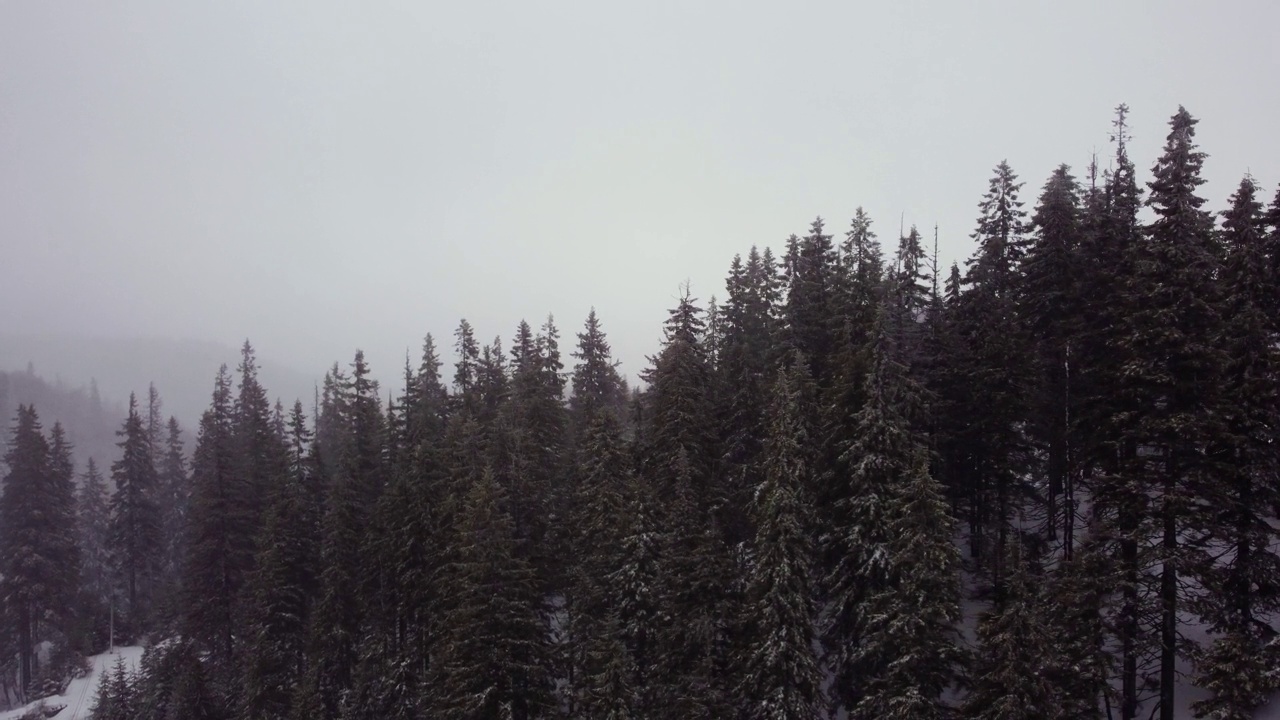 山上有暴风雪。森林。空中无人机拍摄的视频素材