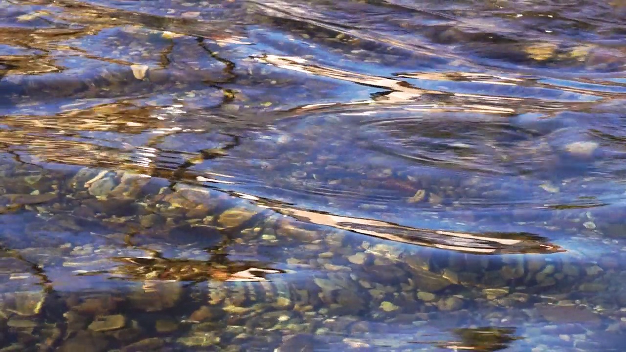 水流湍急，河水清澈见底视频素材