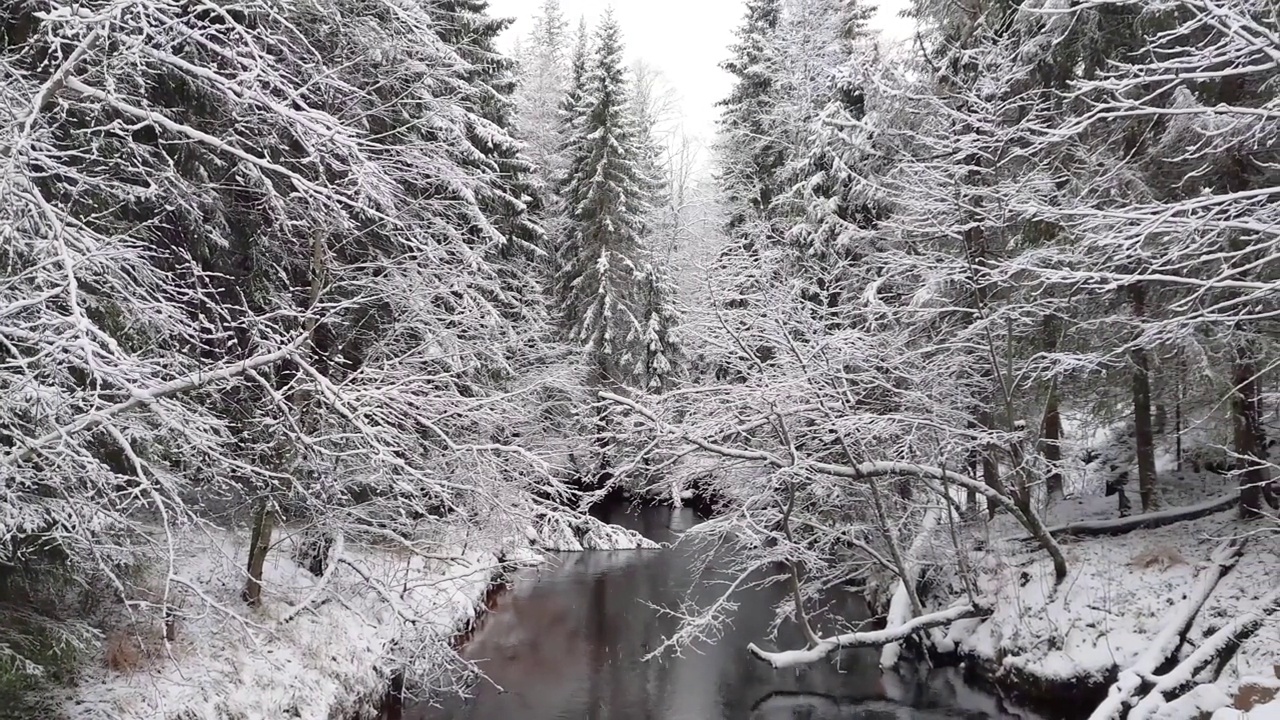 雪覆盖了河两岸的树木视频下载