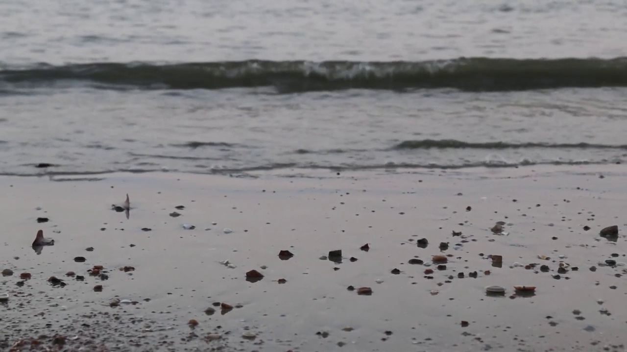 清晨海滩上平静的波浪视频素材