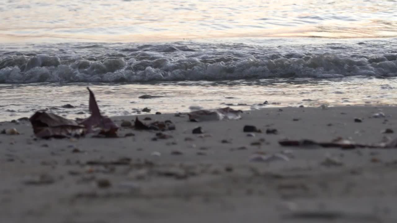 清晨海滩上平静的波浪视频素材