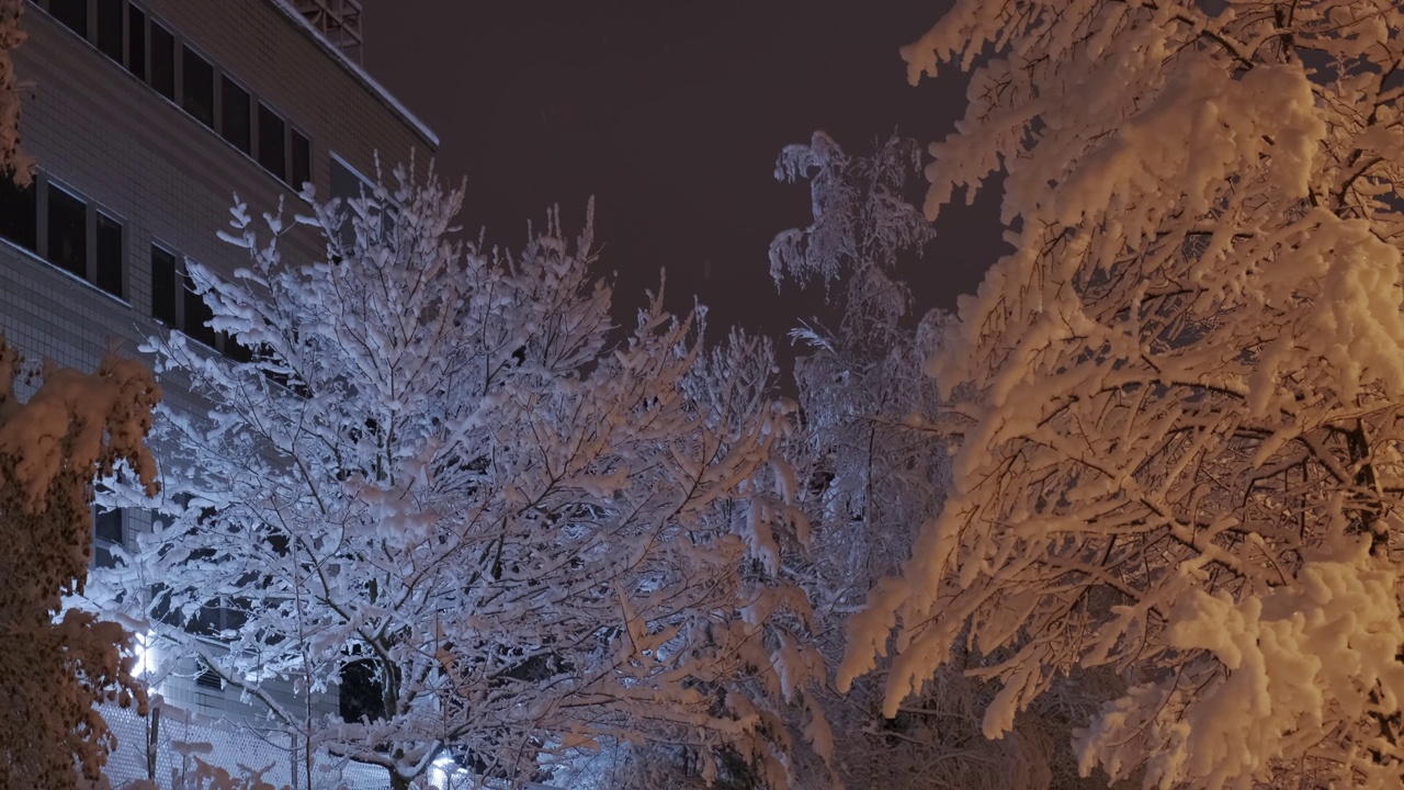 芬兰埃斯波的一场大雪视频素材