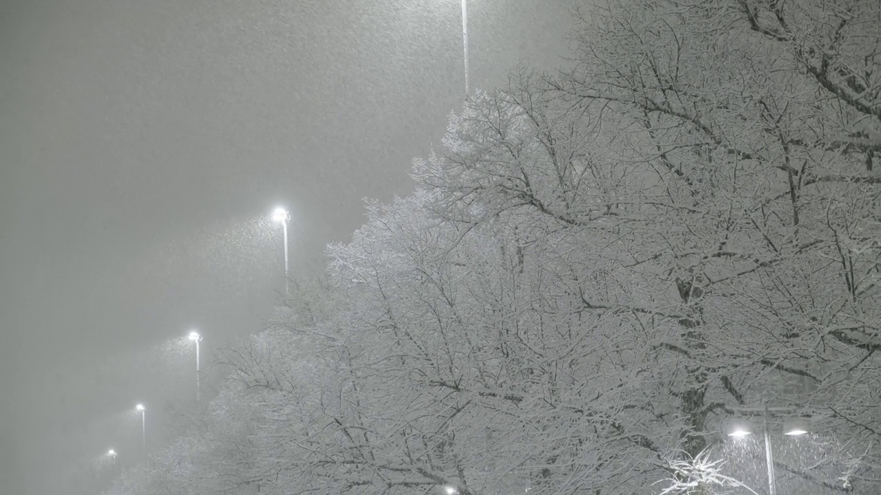 芬兰赫尔辛基的一场大雪视频素材