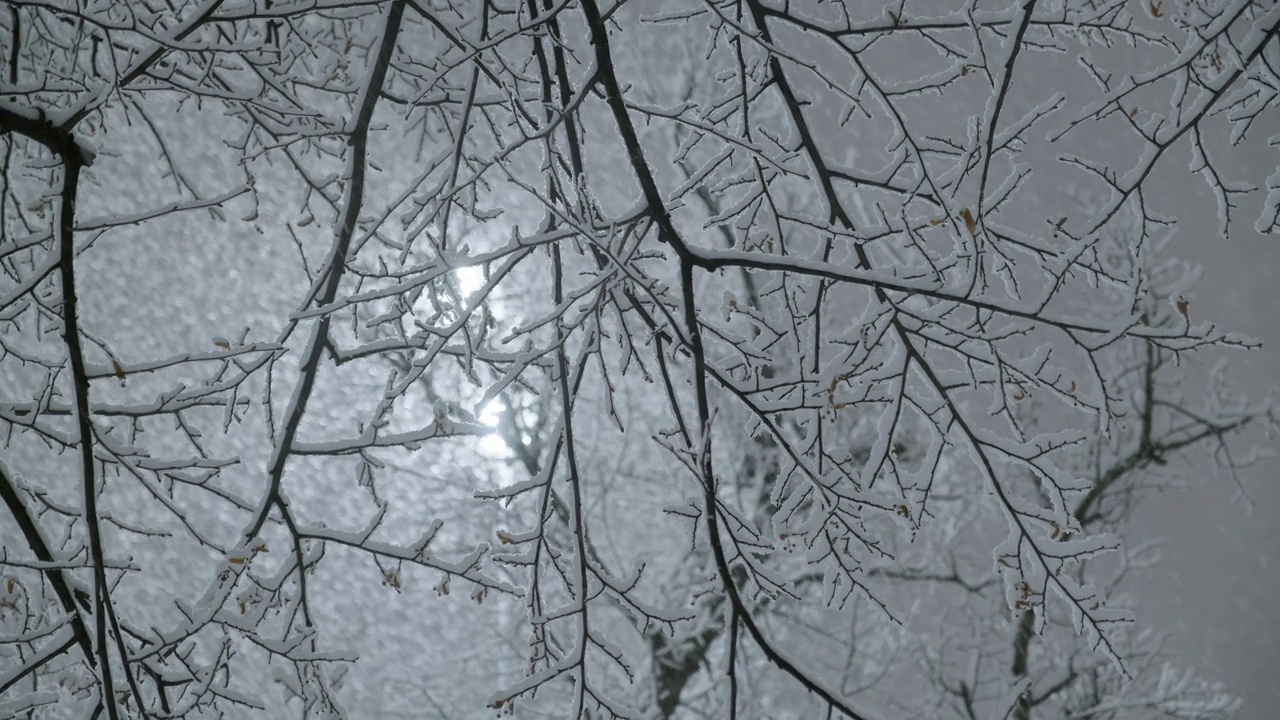 芬兰赫尔辛基的一场大雪视频素材