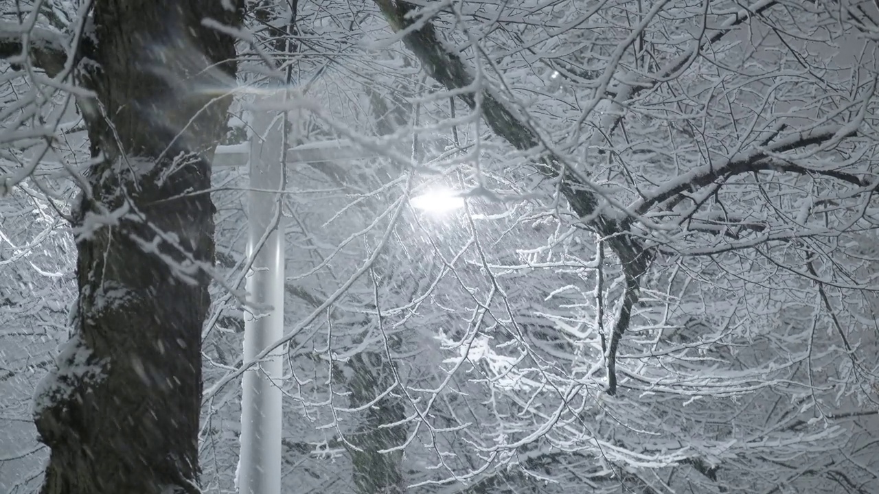 芬兰赫尔辛基的一场大雪视频素材