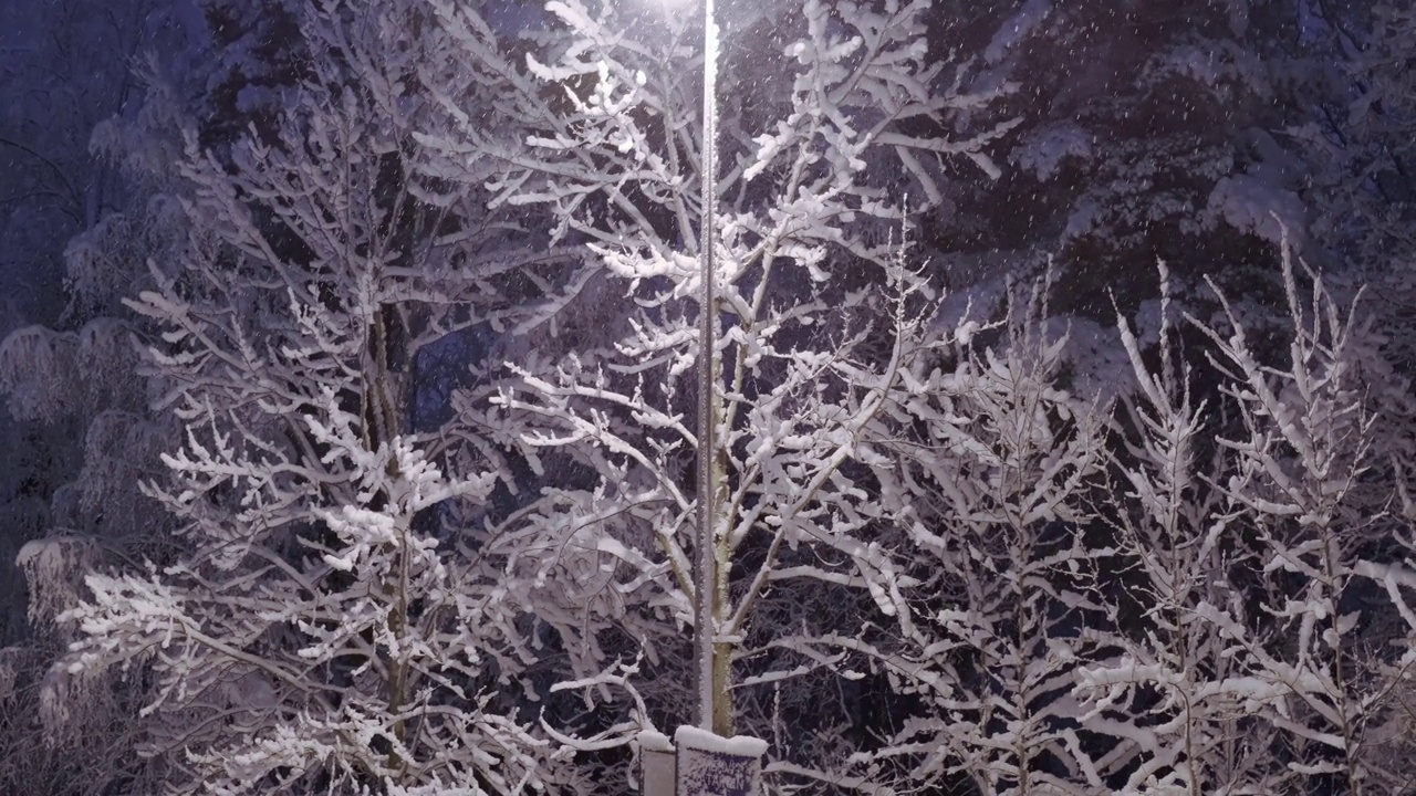 芬兰埃斯波的一场大雪视频素材