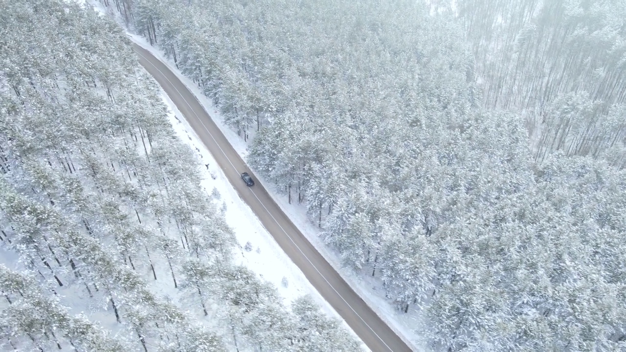 汽车行驶在遥远的道路上，穿过雪原森林视频素材