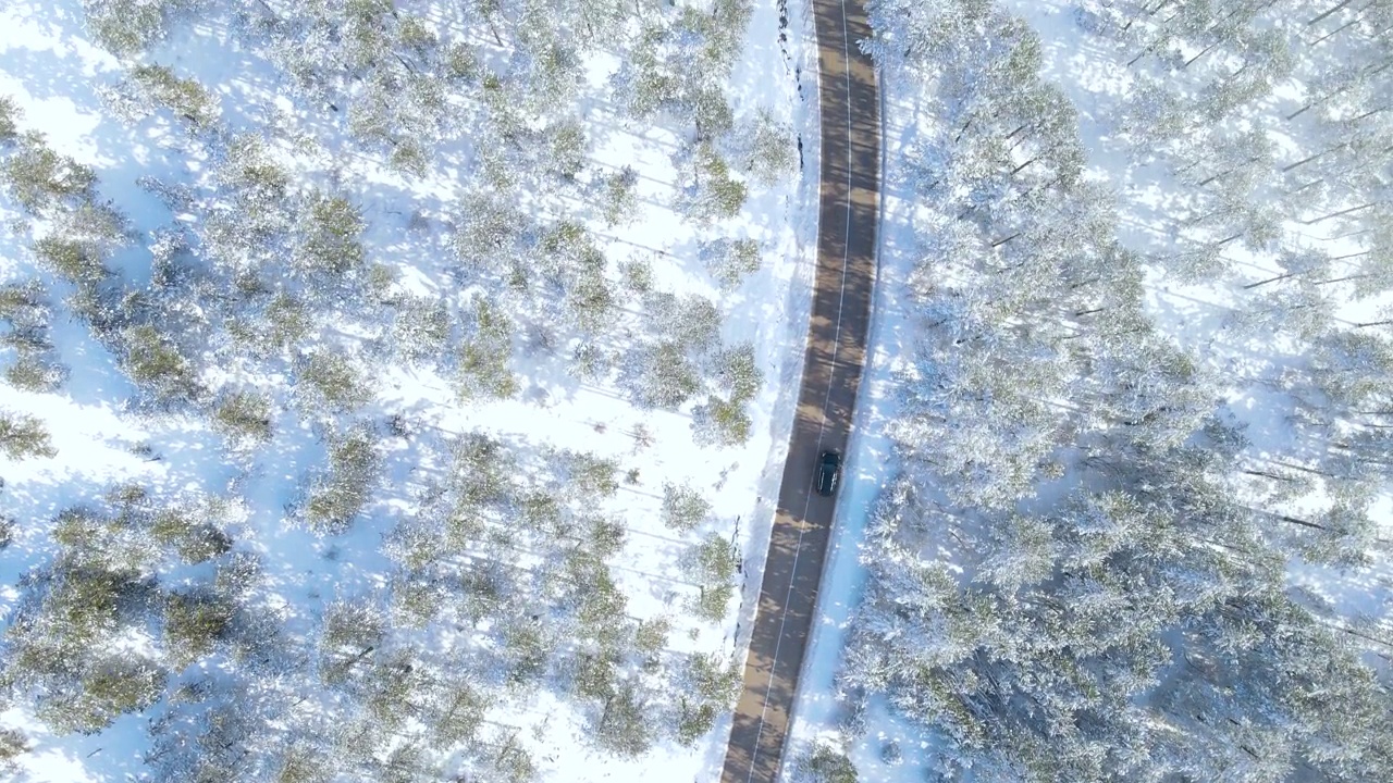 汽车行驶在遥远的雪原林间道路上视频素材