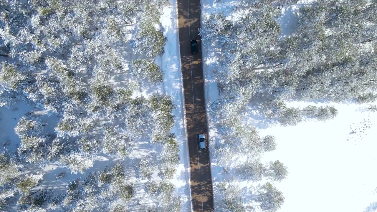 一场暴风雪后，汽车在高速公路上穿过树林视频素材