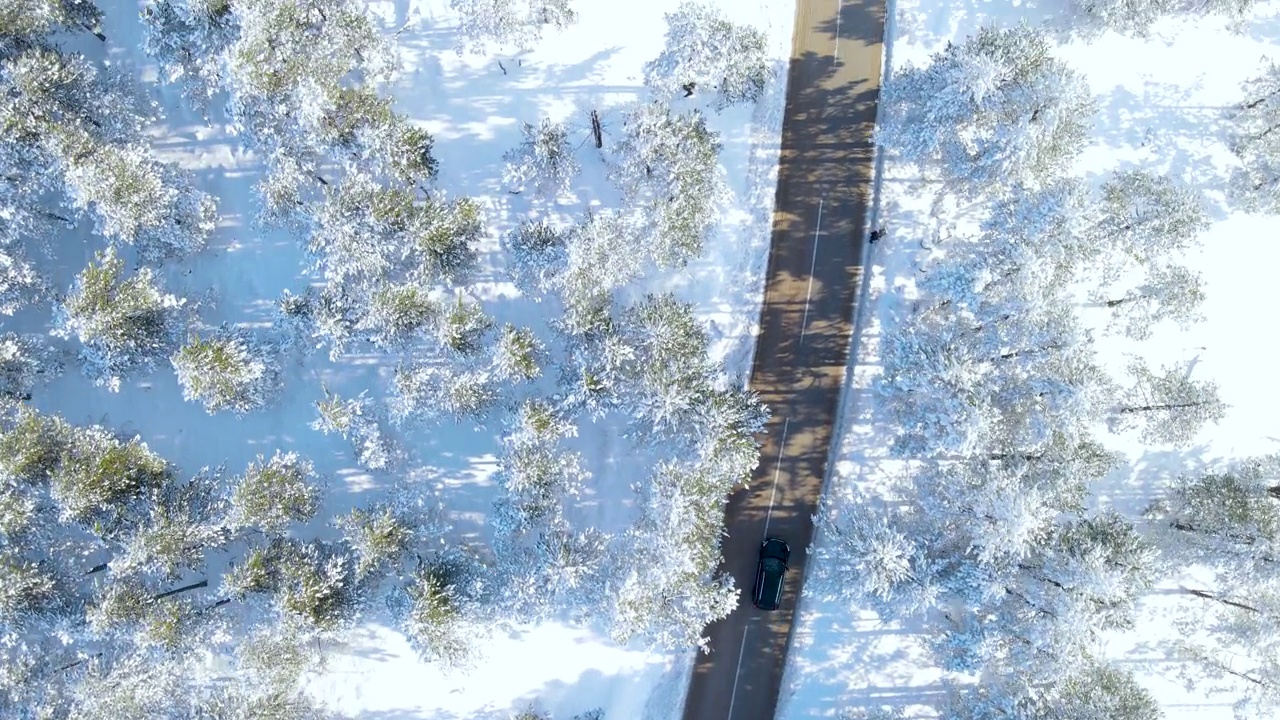 在冬天，汽车行驶在穿越森林的高速公路上视频素材