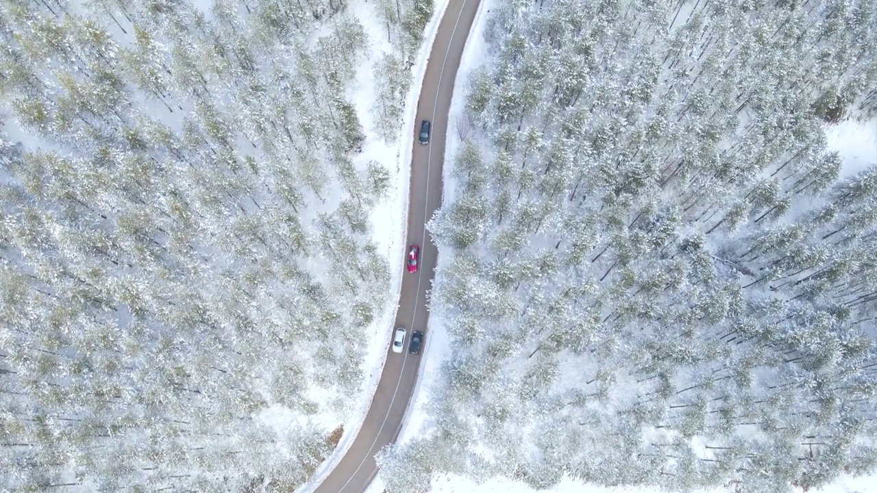 汽车行驶在通往森林的雪路上视频素材