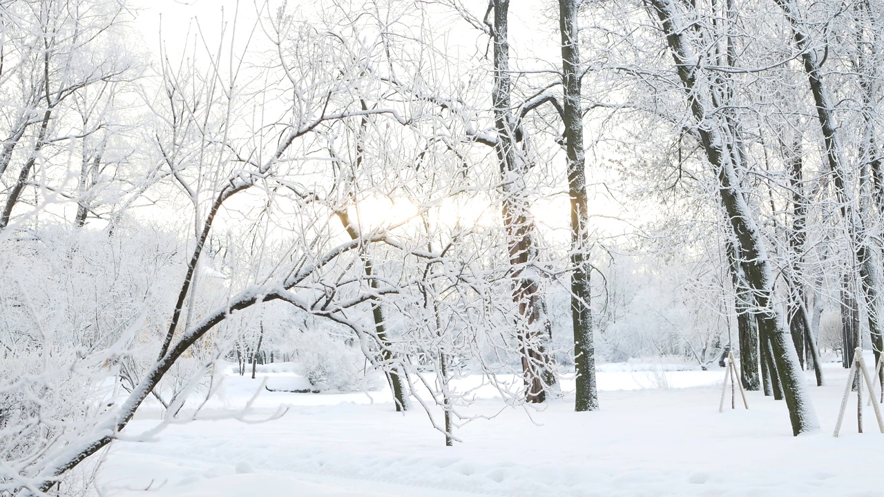 冬天的风景——白雪覆盖的公园里有美丽的树木，覆盖着白霜。视频素材