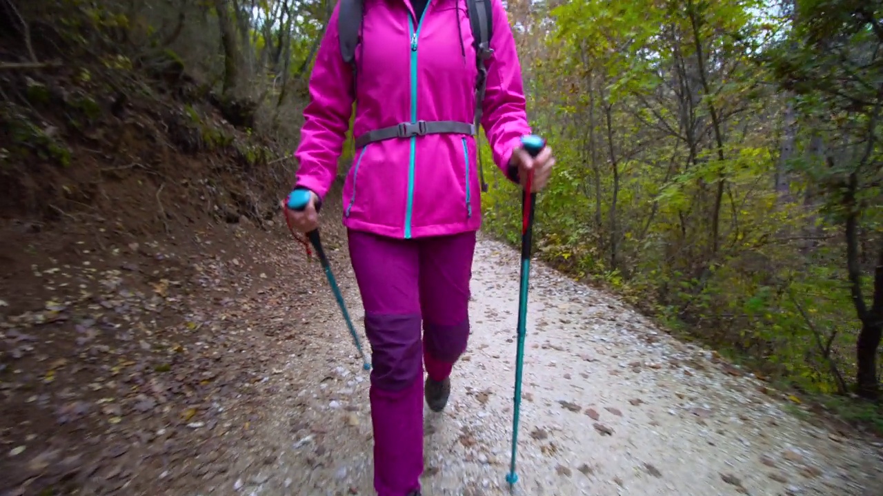 徒步旅行的女孩带着杆子和背包在山区森林的土路或小径上行走。秋天的户外旅行和健康的生活方式。后视图。视频素材