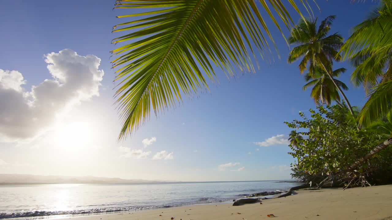 棕榈树下的海景。日落在野生的热带海滩。视频素材