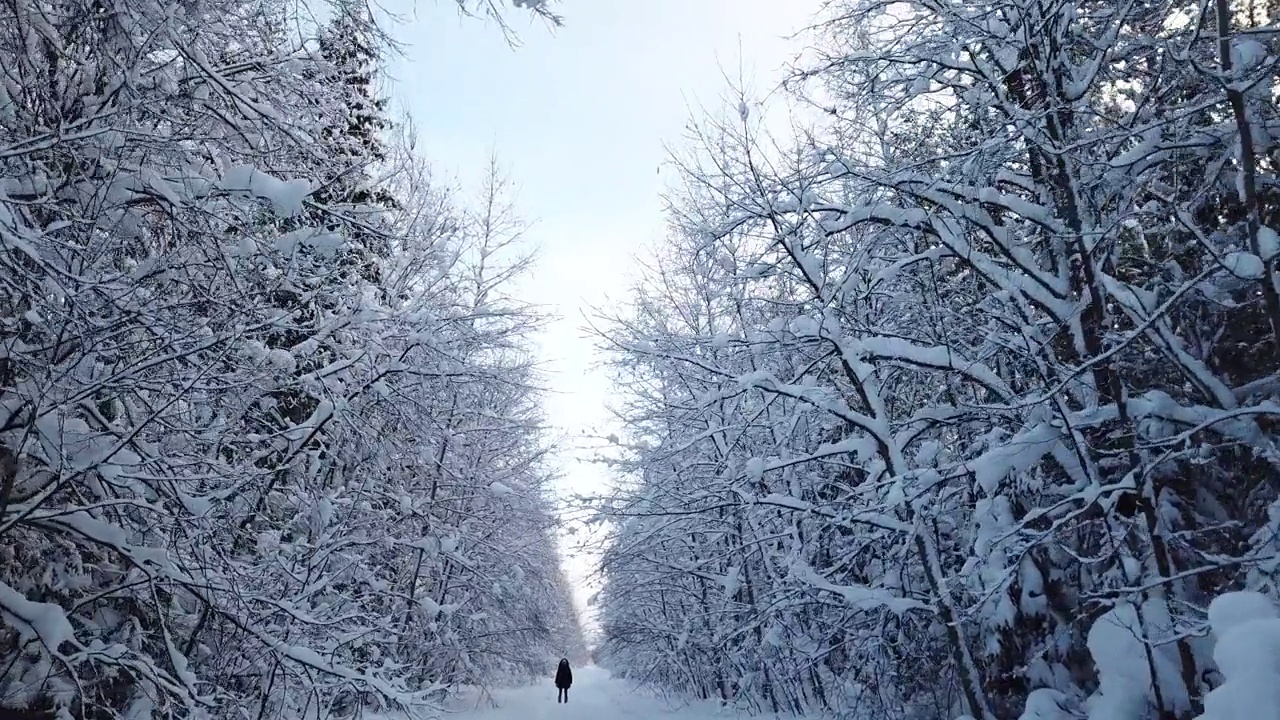 一个女人走在雪林里视频素材