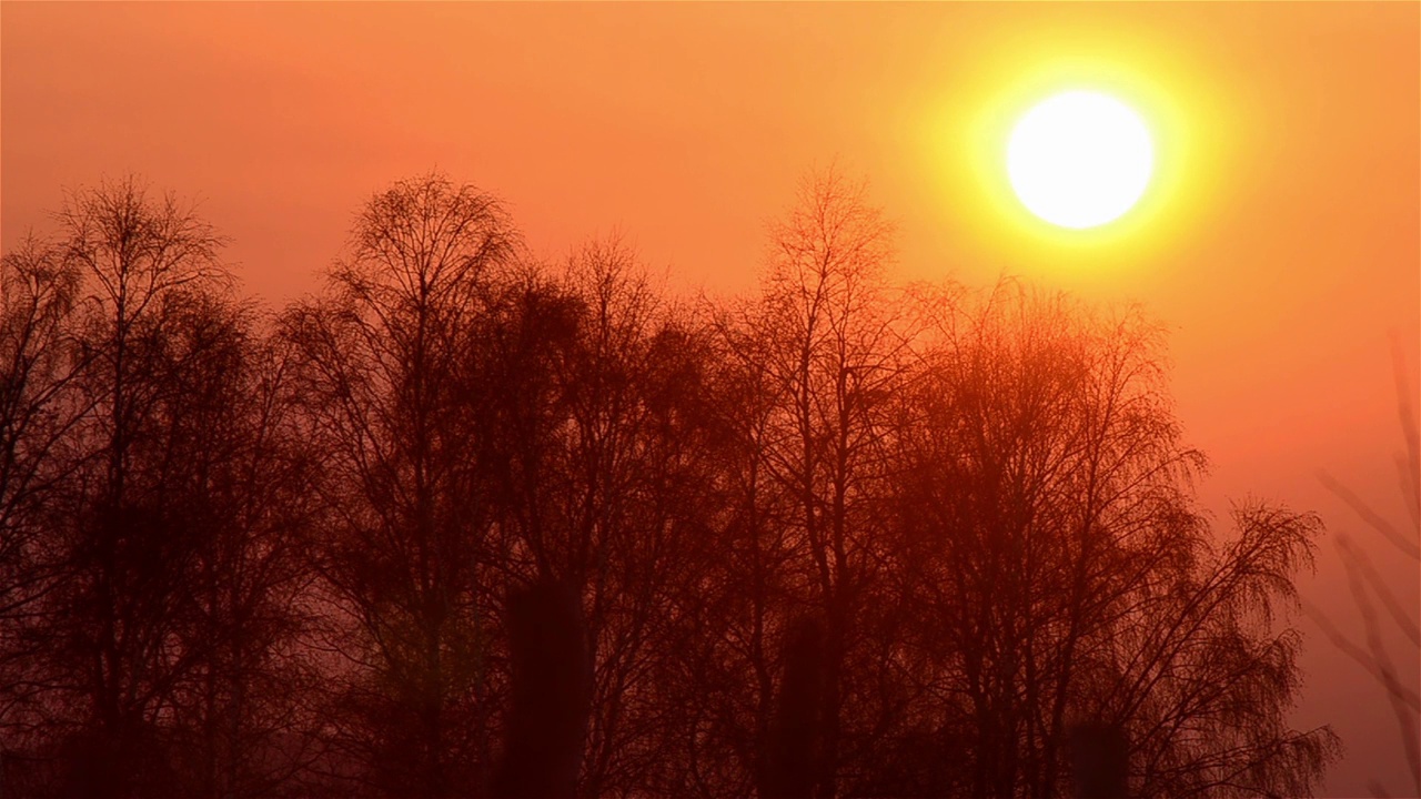 在冰封的冬天，光秃秃的森林里，夕阳被太阳染成红色视频素材