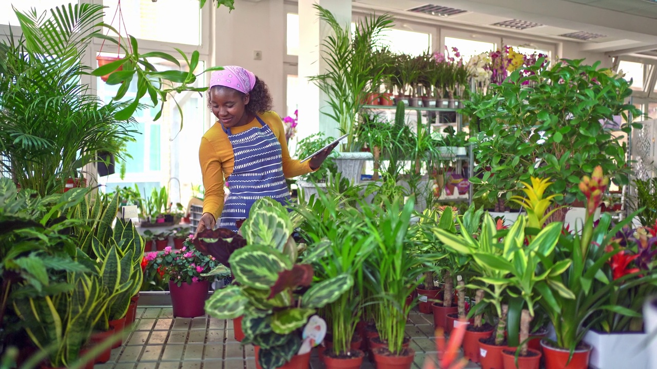 花商在花店检查植物视频素材